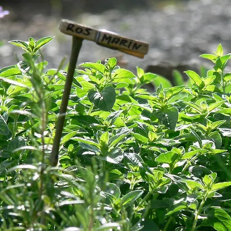 Landidyll Landhotel Liesetal