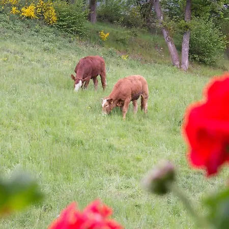 Landidyll Landhotel Liesetal Отель