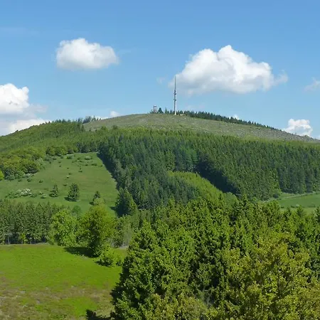 Отель Landidyll Landhotel Liesetal