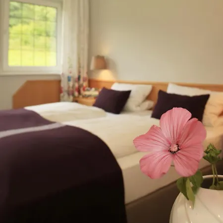 Отель Landidyll Landhotel Liesetal