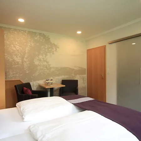 Landidyll Landhotel Liesetal Отель Халленберг