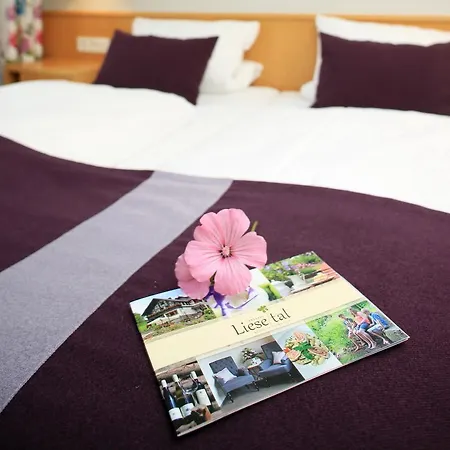 Landidyll Liesetal 3* 할렌버그