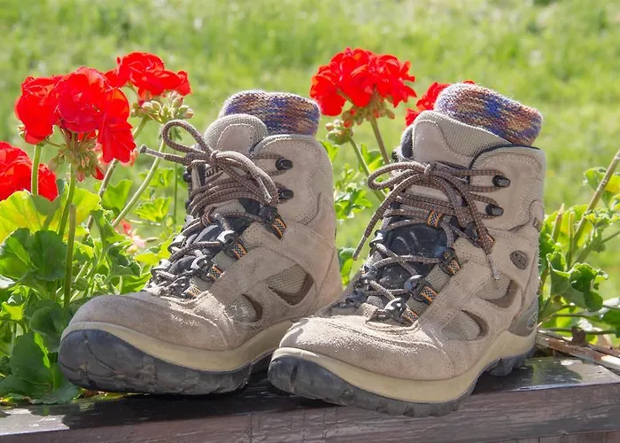 Landidyll Liesetal 할렌버그