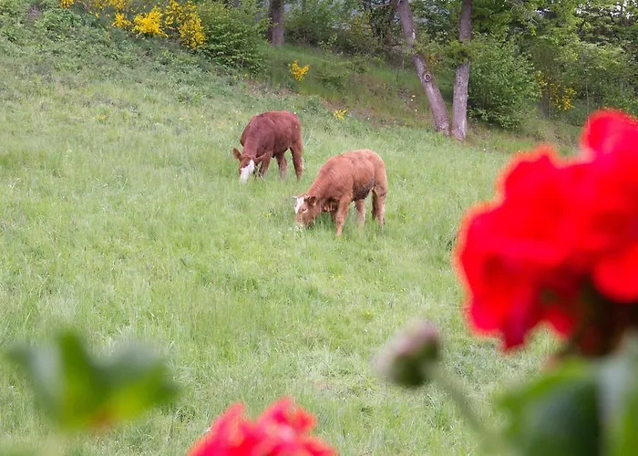 Landidyll Liesetal Hotel
